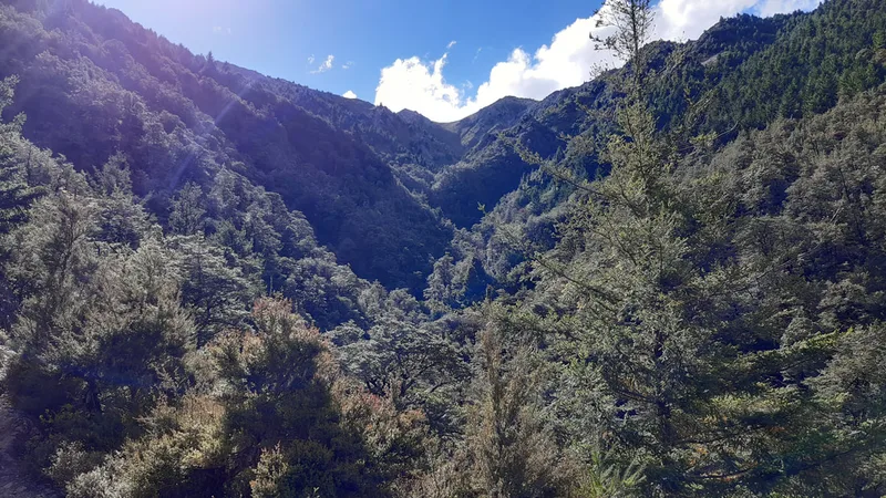 Hanmer Springs Waterfall track