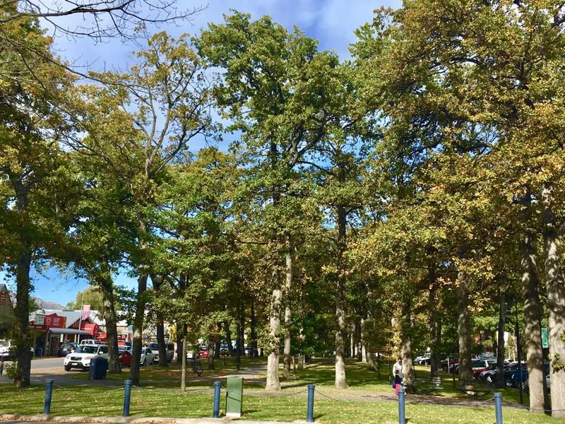 Hanmer Springs village