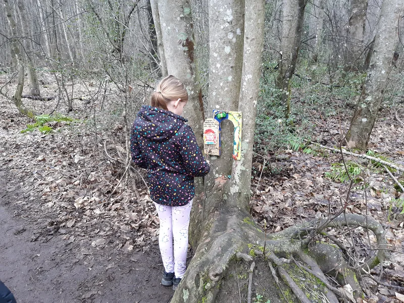 Fairy Walk at Hanmer Springs