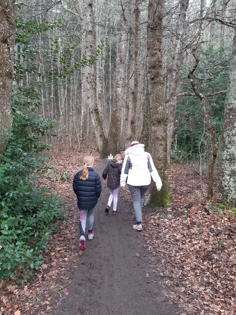Fairy walk in Hanmer Springs Forest