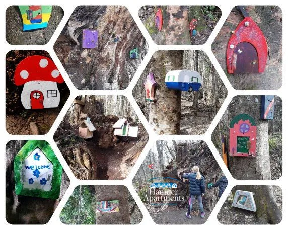 Hanmer Springs Fairy Walk