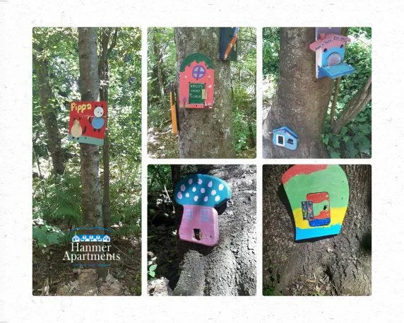 Fairy Walk Hanmer Springs