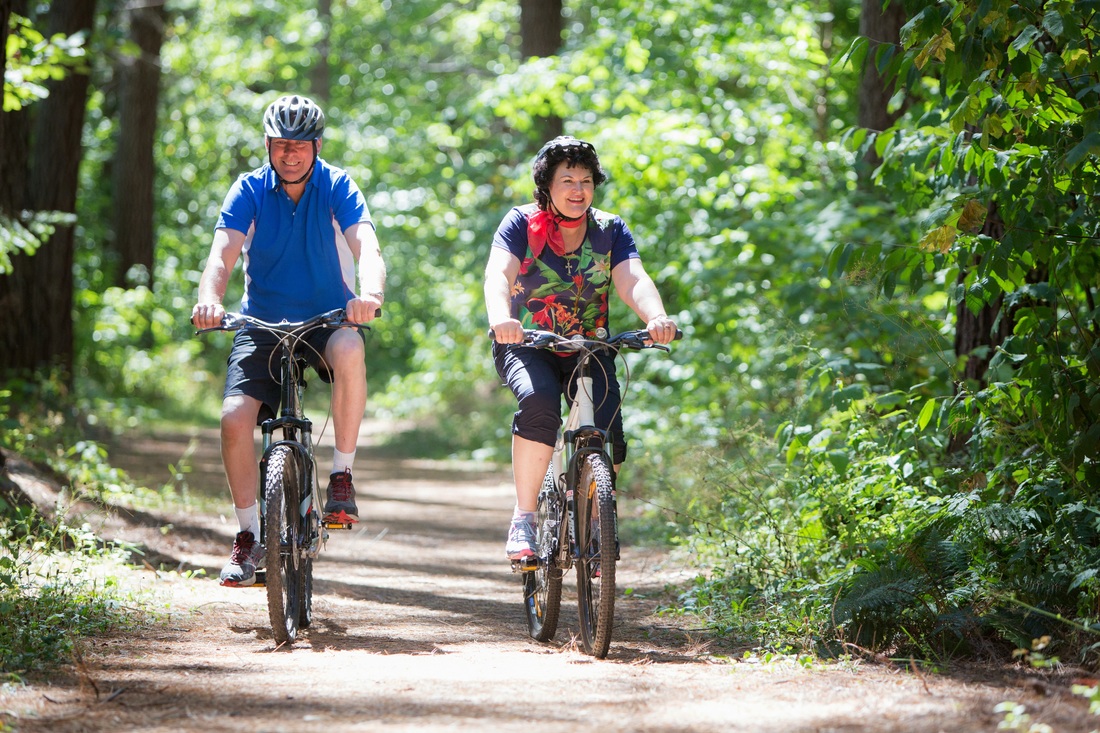Hanmer Forest Summer