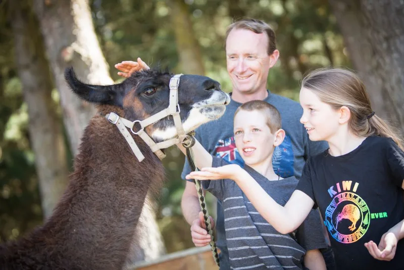 Hanmer Springs Animal Park