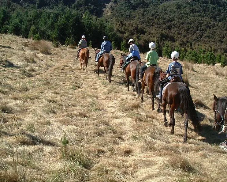 Hanmer Springs Horse trek