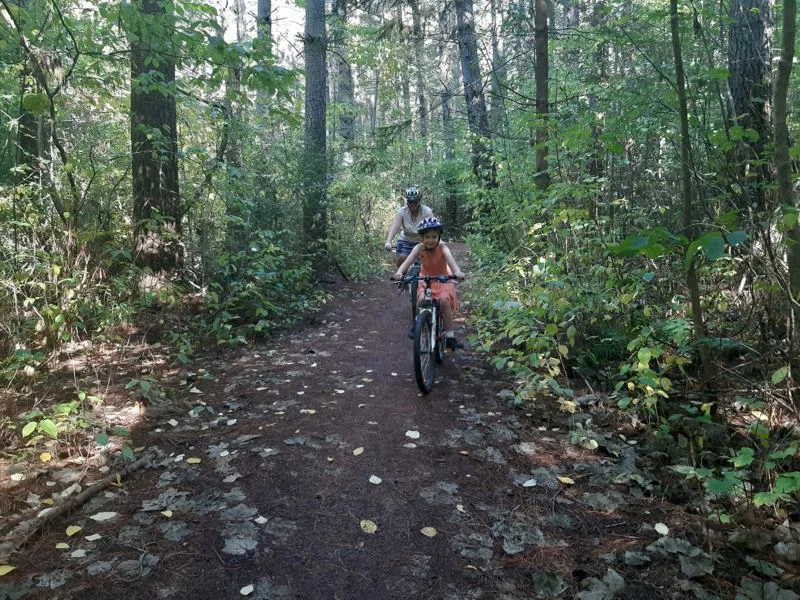 Hanmer MTB track