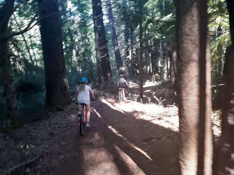 Hanmer Mountain Bike track