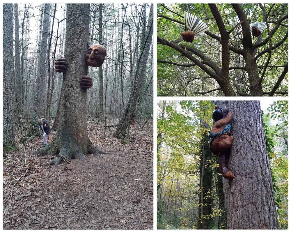 Hanmer Springs Forest Amble