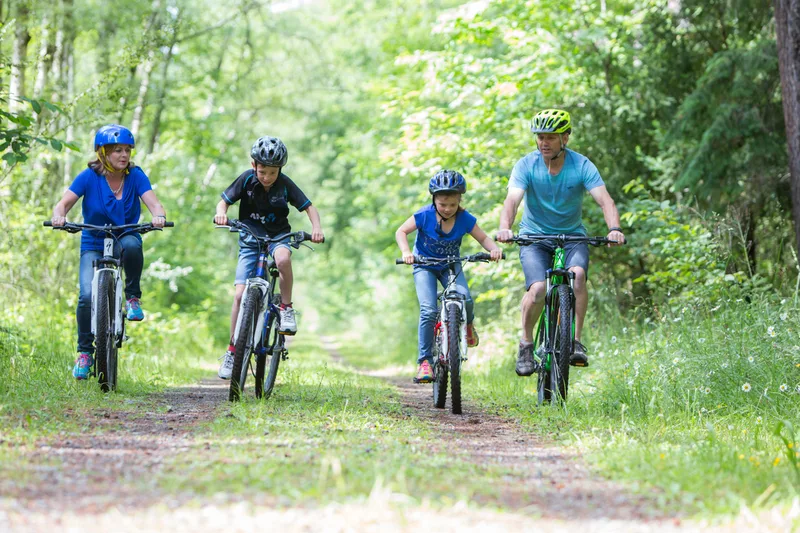Mountain bike in Hanmer