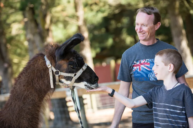 Hanmer Springs Animal park