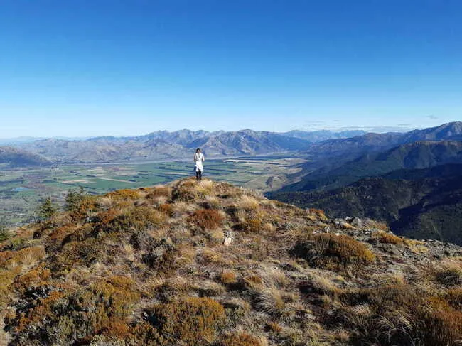 Mt Isobel view towards Lewis Pass