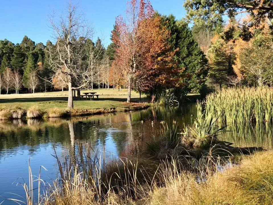 Hanmer Springs long stay